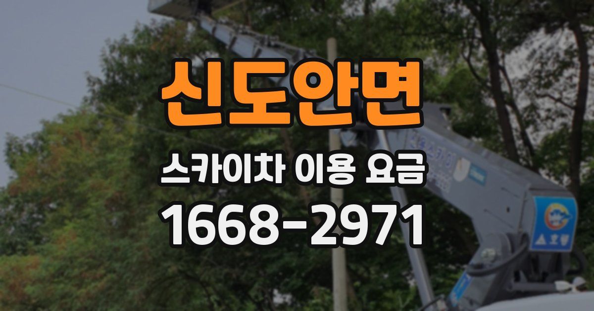 신도안면 스카이차 이용 요금