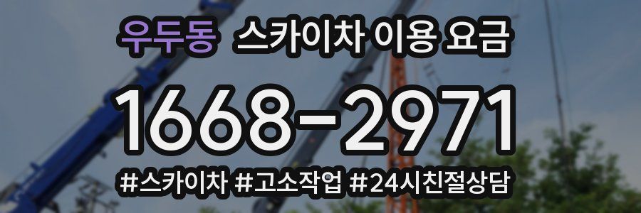우두동 스카이차 이용 요금