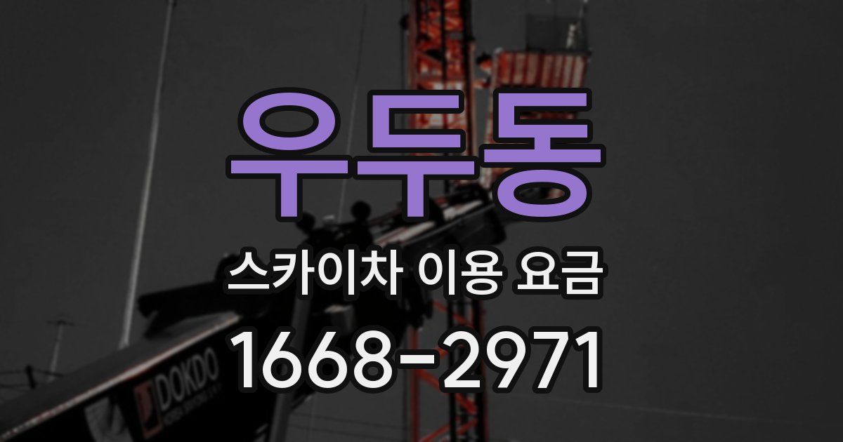 우두동 스카이차 이용 요금