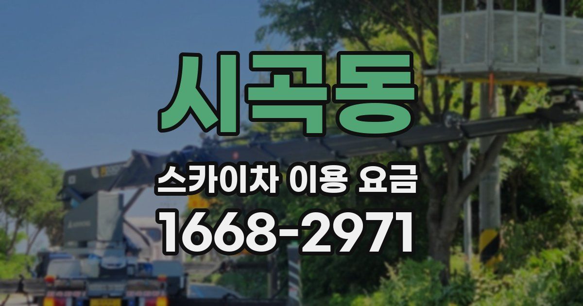 시곡동 스카이차 이용 요금