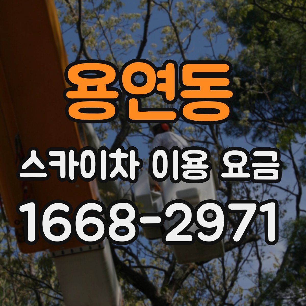 용연동 스카이차 이용 요금