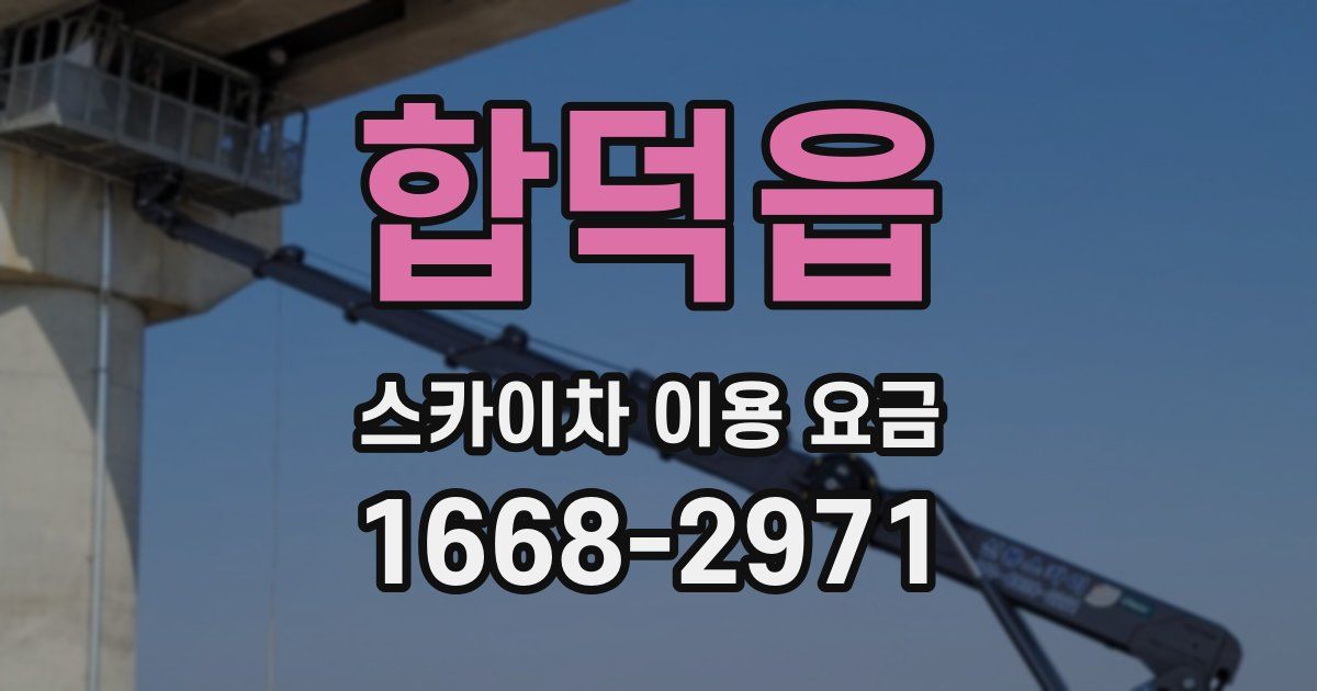 합덕읍 스카이차 이용 요금