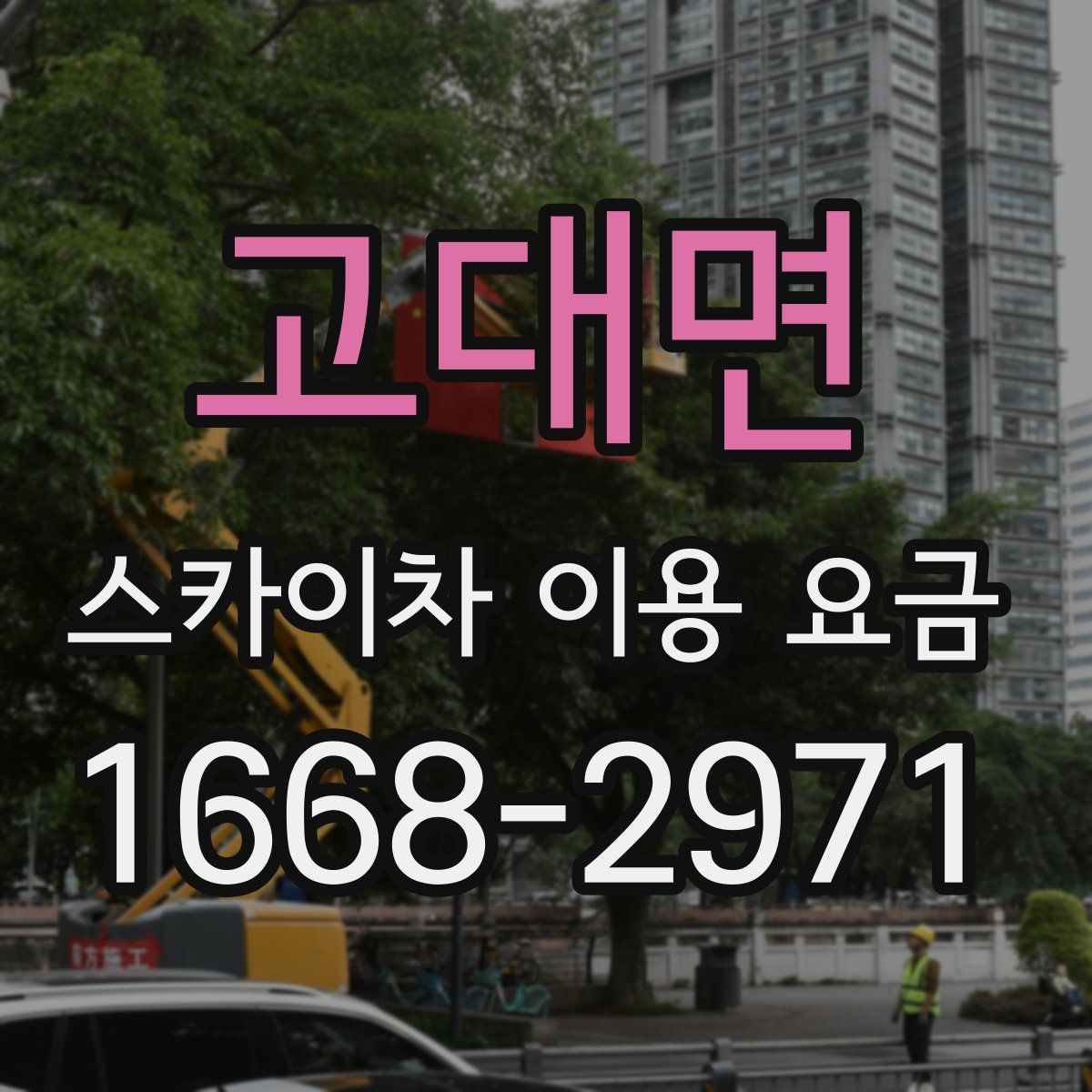 고대면 스카이차 이용 요금