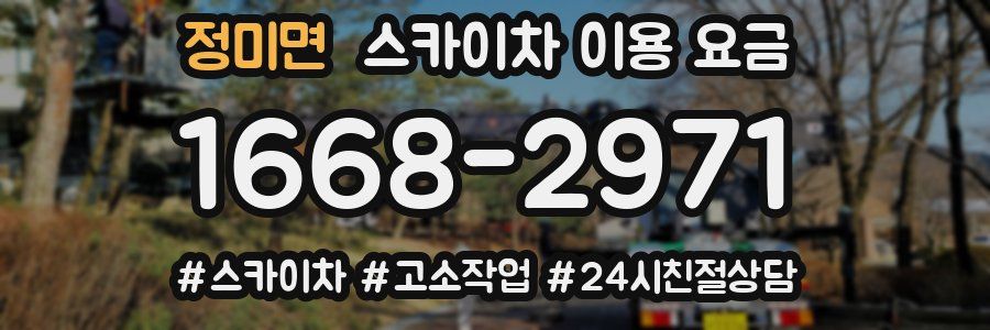 정미면 스카이차 이용 요금