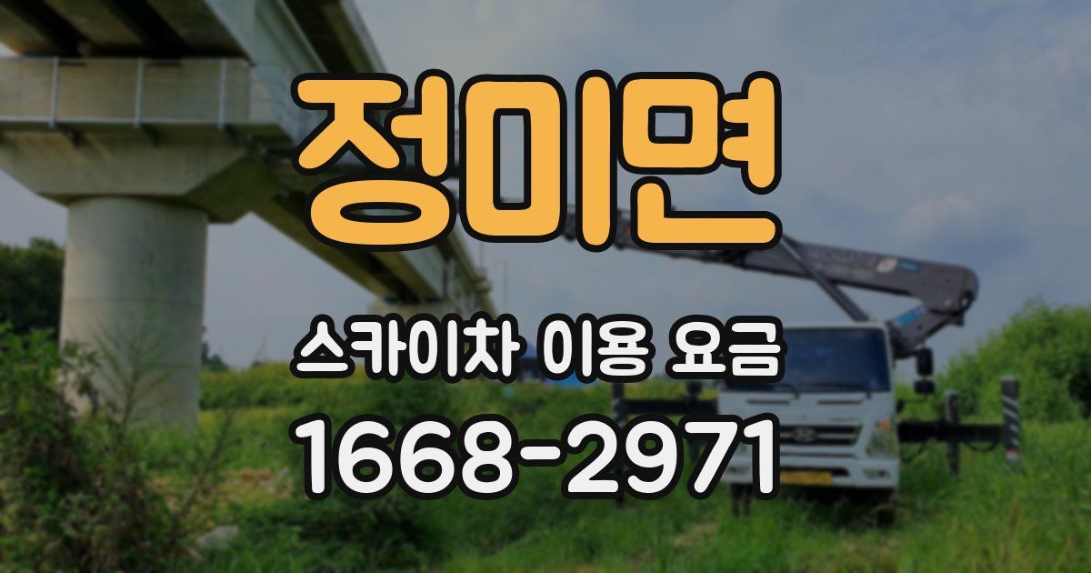 정미면 스카이차 이용 요금