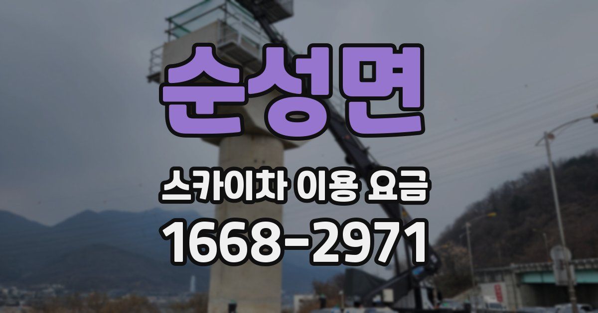 순성면 스카이차 이용 요금