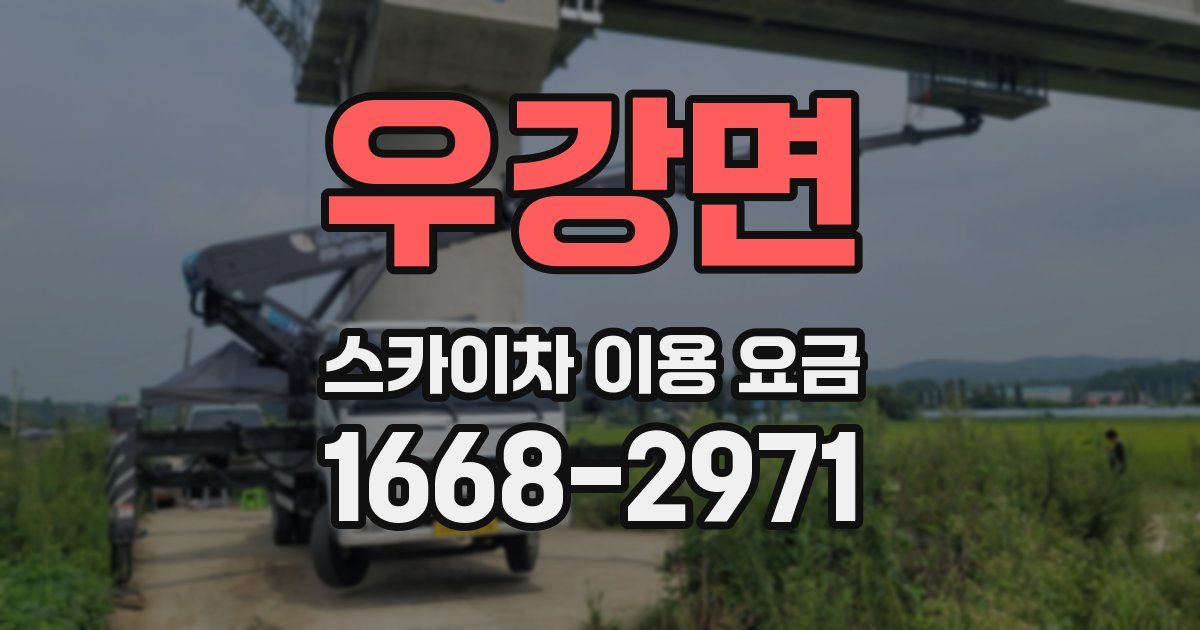 우강면 스카이차 이용 요금