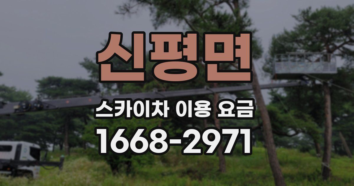 신평면 스카이차 이용 요금