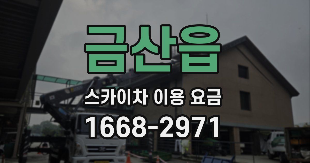 금산읍 스카이차 이용 요금