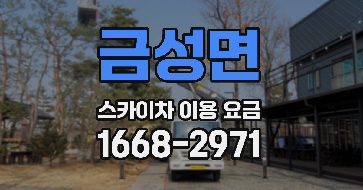 금성면 스카이차 이용 요금