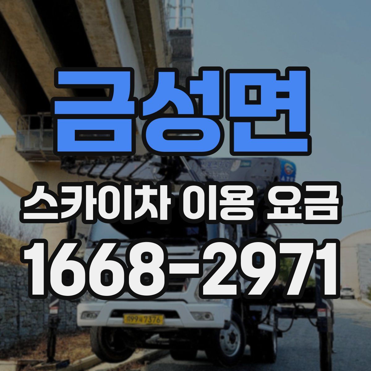 금성면 스카이차 이용 요금