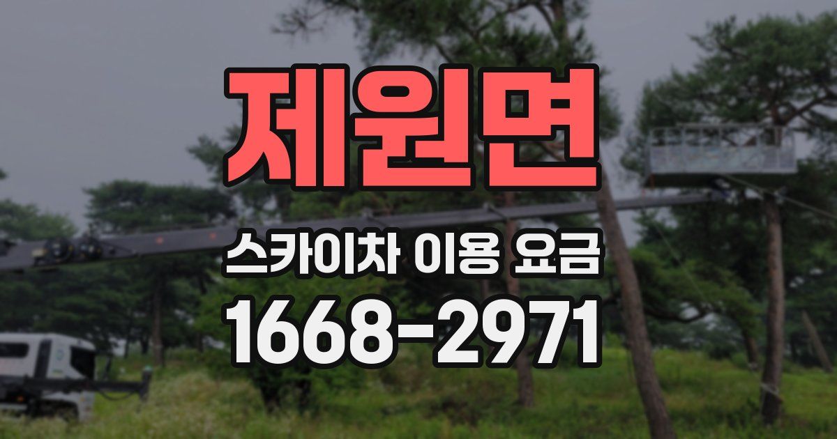 제원면 스카이차 이용 요금