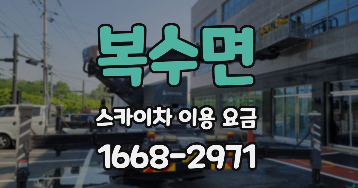 복수면 스카이차 이용 요금