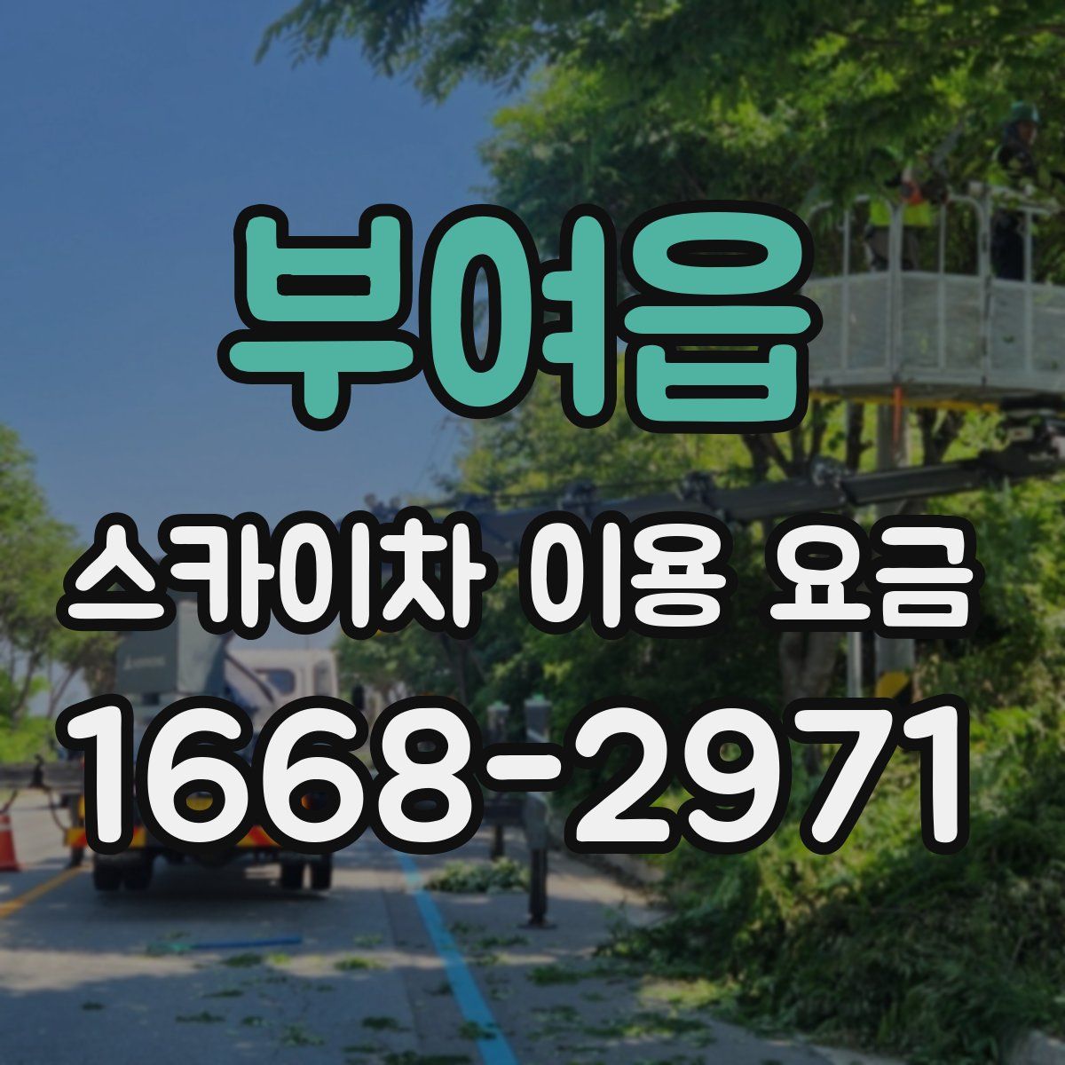 부여읍 스카이차 이용 요금