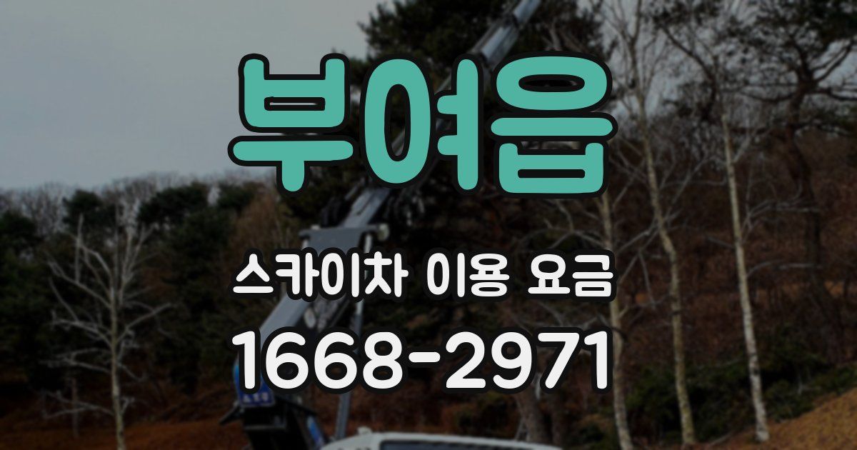 부여읍 스카이차 이용 요금