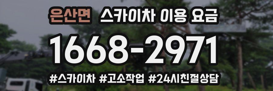 은산면 스카이차 이용 요금