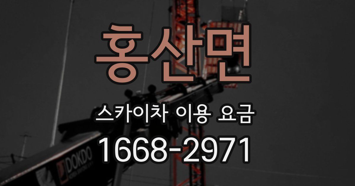 홍산면 스카이차 이용 요금