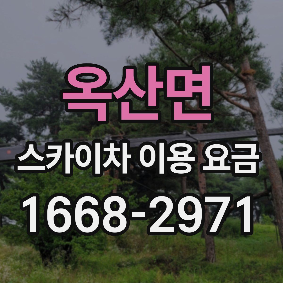 옥산면 스카이차 이용 요금