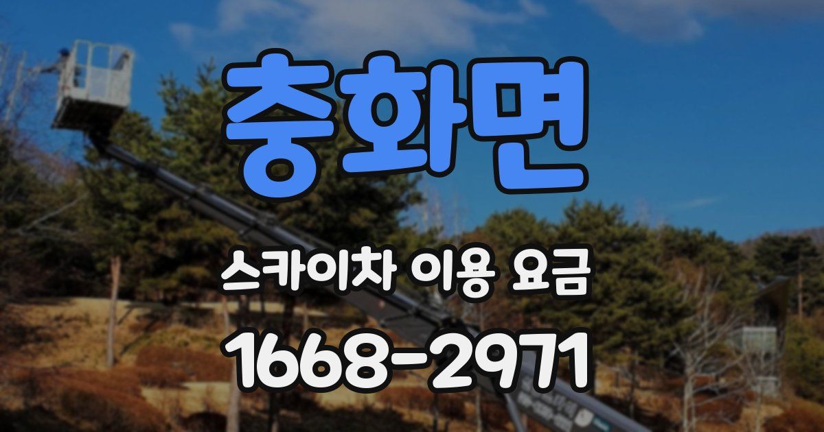 충화면 스카이차 이용 요금