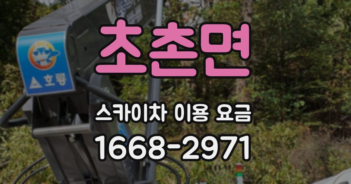 초촌면 스카이차 이용 요금