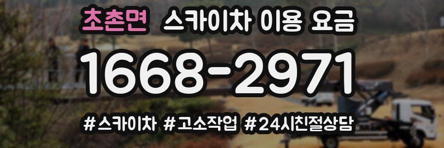 초촌면 스카이차 이용 요금