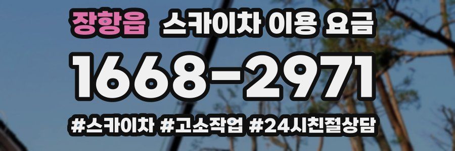 장항읍 스카이차 이용 요금
