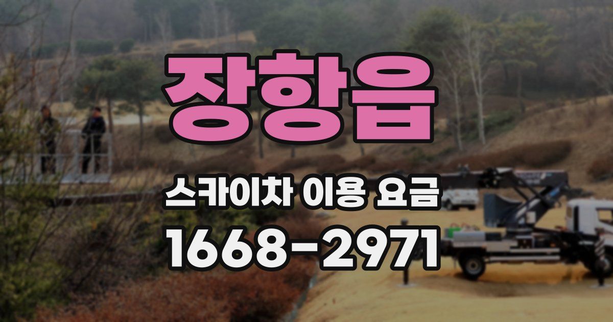 장항읍 스카이차 이용 요금