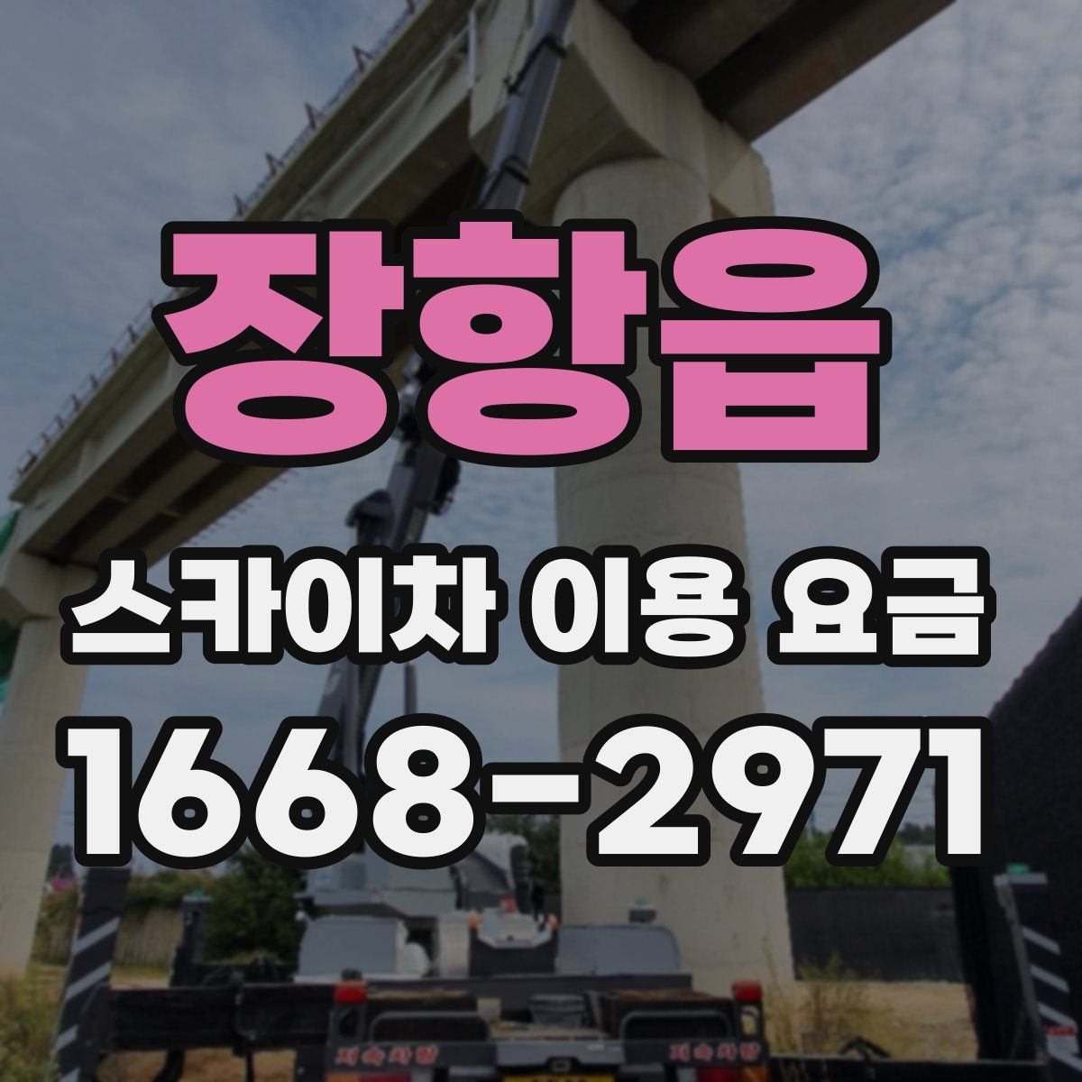 장항읍 스카이차 이용 요금