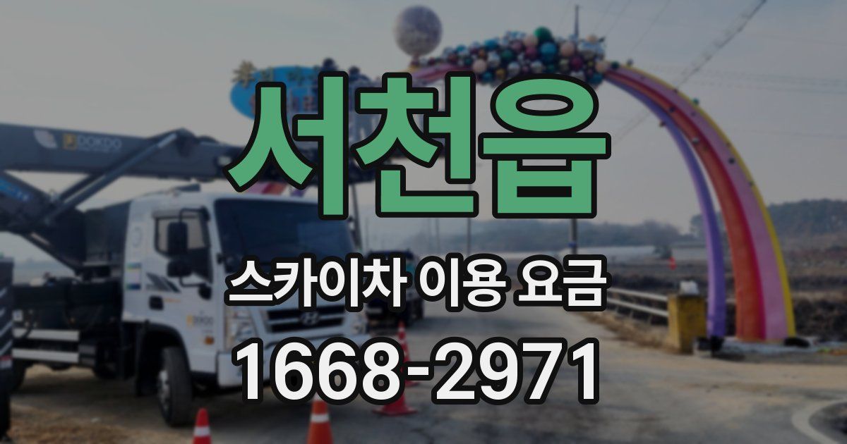 서천읍 스카이차 이용 요금
