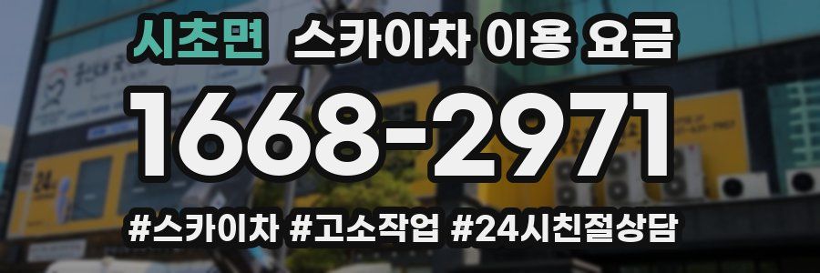 시초면 스카이차 이용 요금