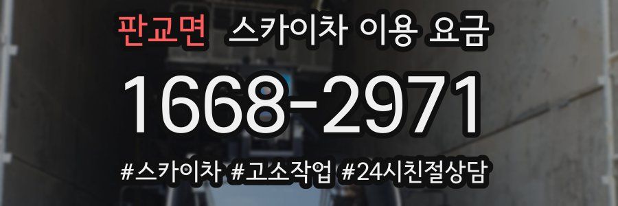 판교면 스카이차 이용 요금
