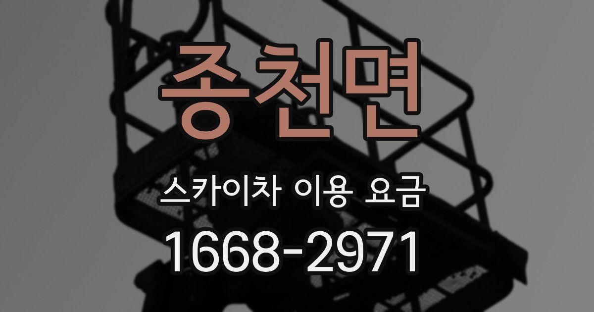 종천면 스카이차 이용 요금