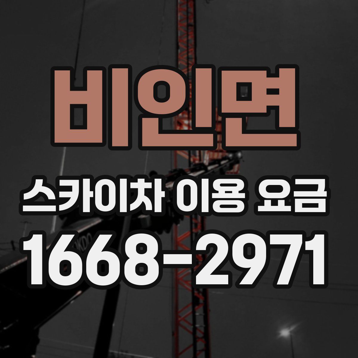 비인면 스카이차 이용 요금