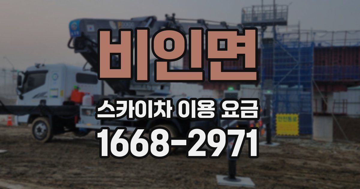 비인면 스카이차 이용 요금