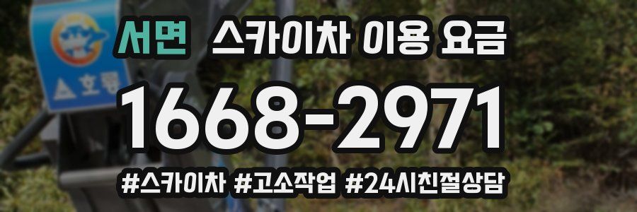 서면 스카이차 이용 요금