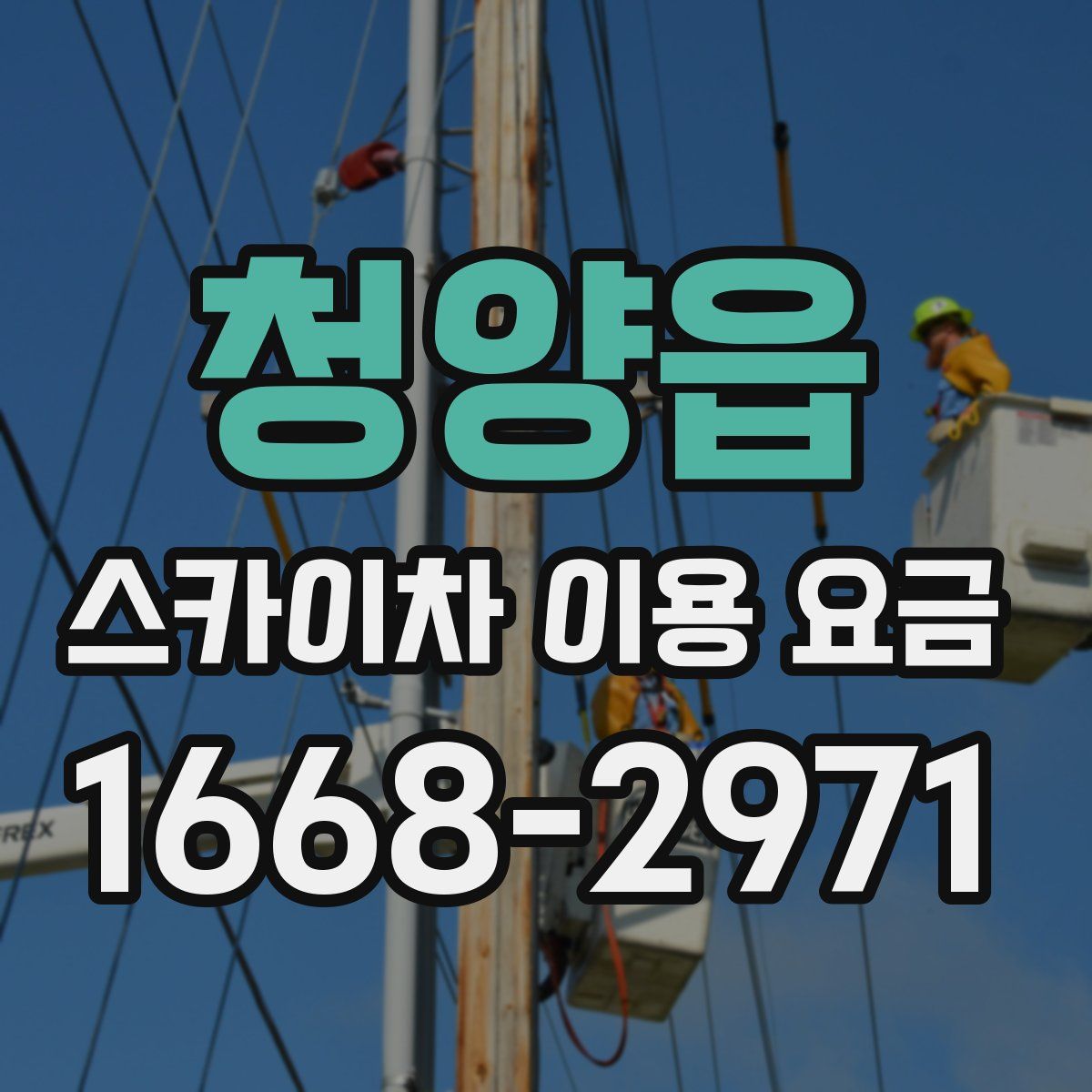 청양읍 스카이차 이용 요금