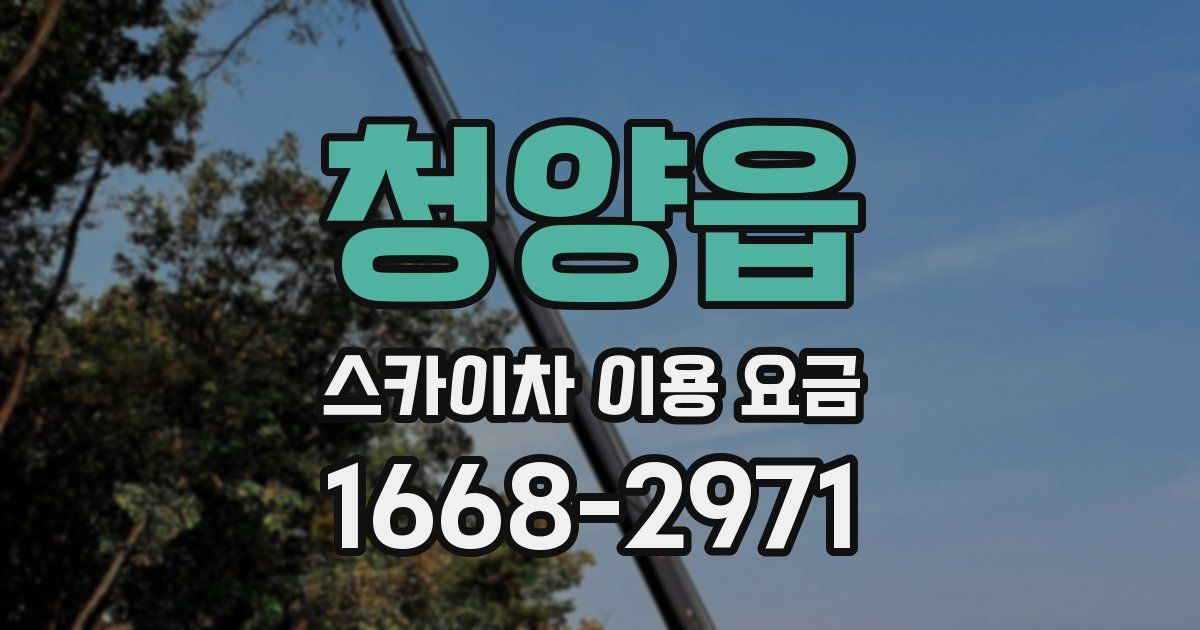 청양읍 스카이차 이용 요금