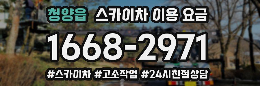 청양읍 스카이차 이용 요금