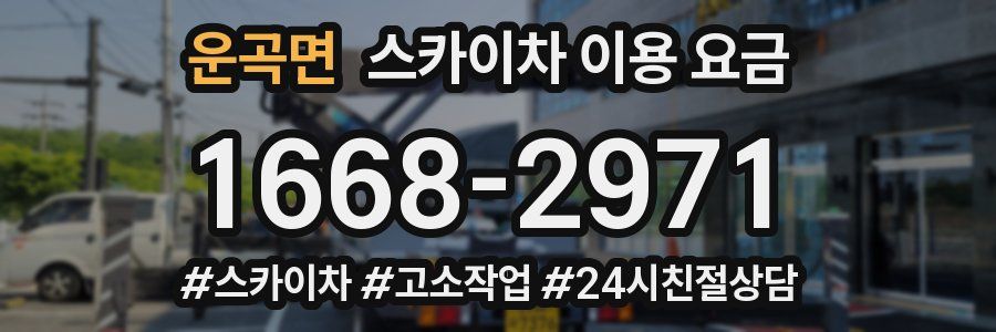 운곡면 스카이차 이용 요금