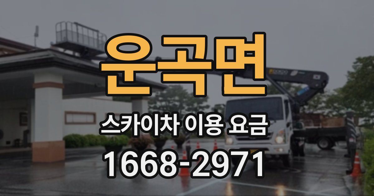 운곡면 스카이차 이용 요금