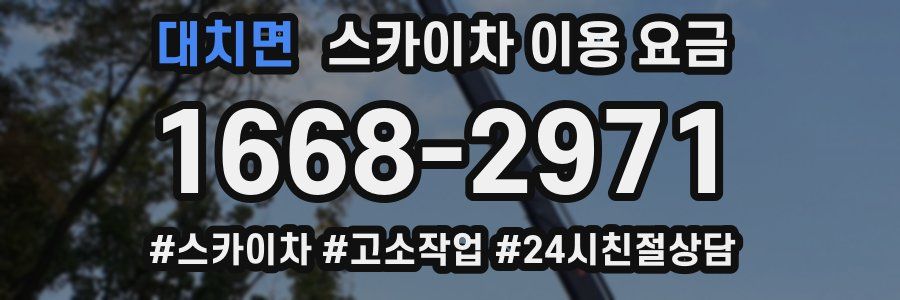 대치면 스카이차 이용 요금