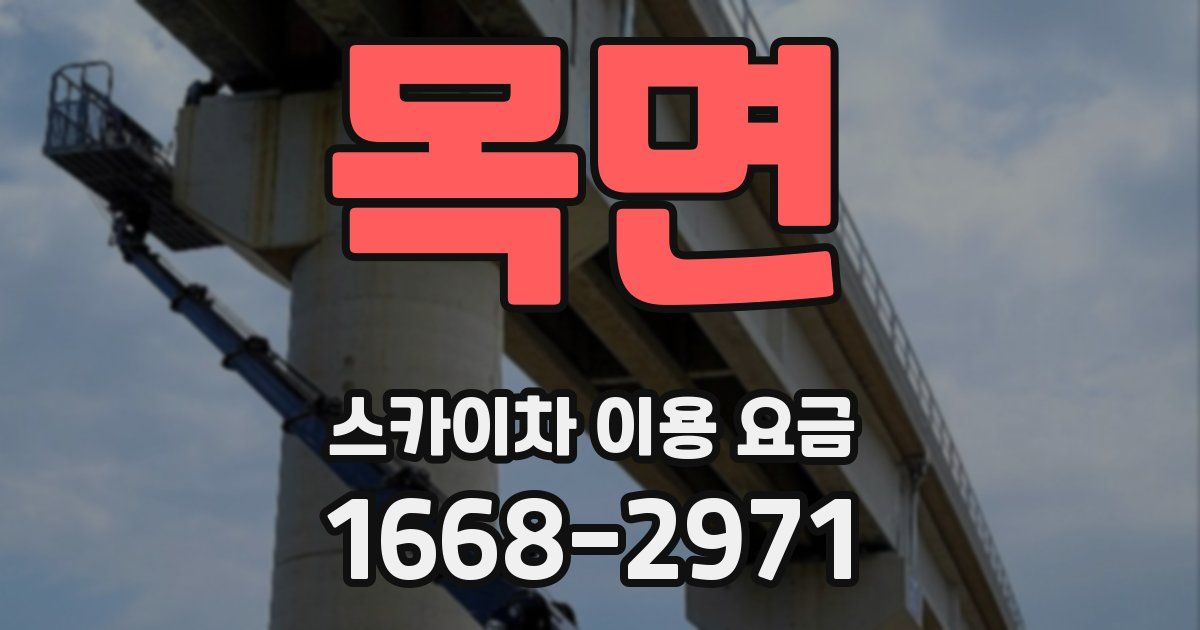 목면 스카이차 이용 요금