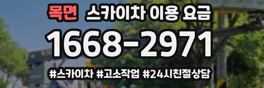 목면 스카이차 이용 요금