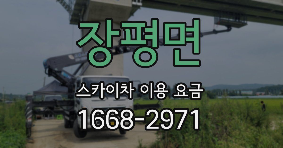 장평면 스카이차 이용 요금