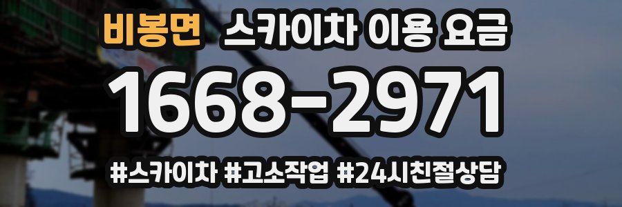 비봉면 스카이차 이용 요금