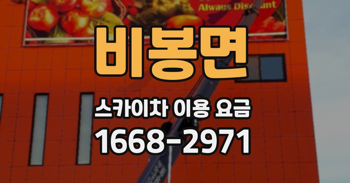 비봉면 스카이차 이용 요금