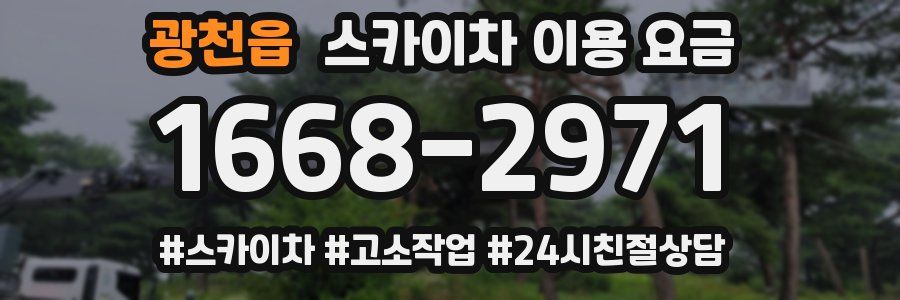 광천읍 스카이차 이용 요금