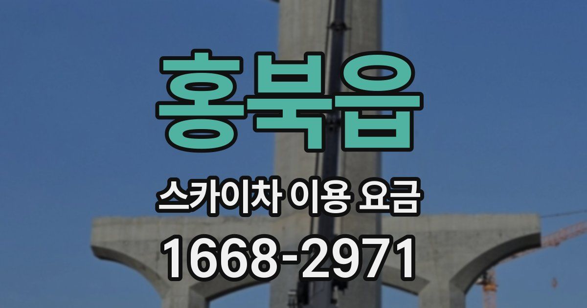 홍북읍 스카이차 이용 요금