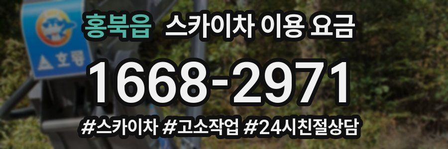 홍북읍 스카이차 이용 요금