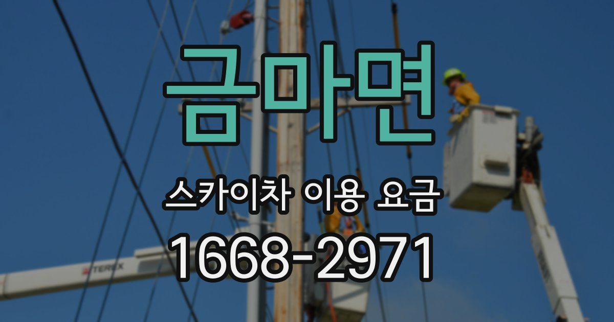 금마면 스카이차 이용 요금